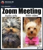 How To Zoom