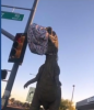 Tucson Mask Wearers: McDino